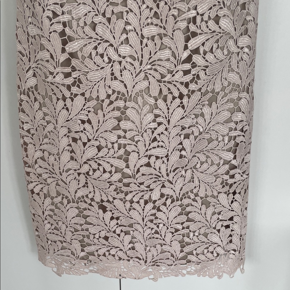 Eliza J Embroidered Powder Pink Lace Overlay Cocktail Dress - Size 4 - Picture 7 of 16